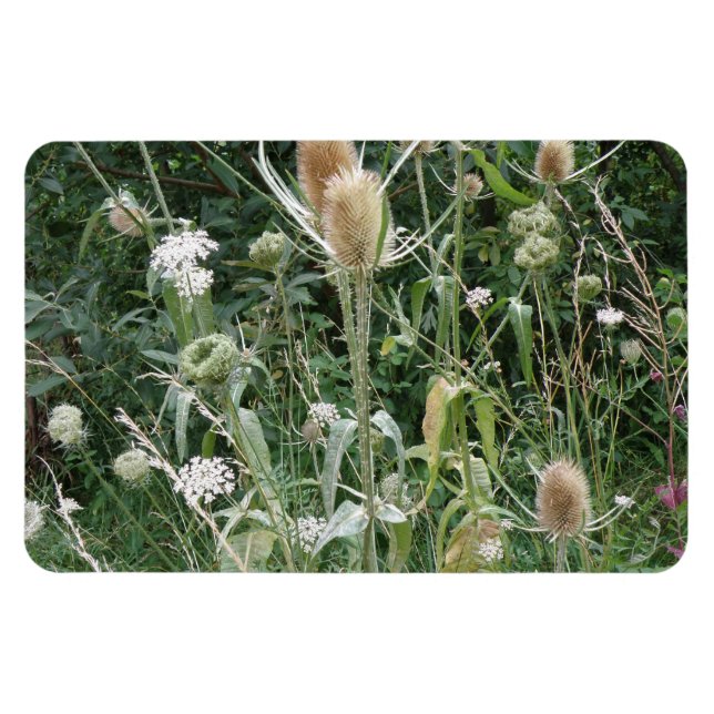 Magnet Flexible Aimant Premium Grasses sauvages (Horizontal)