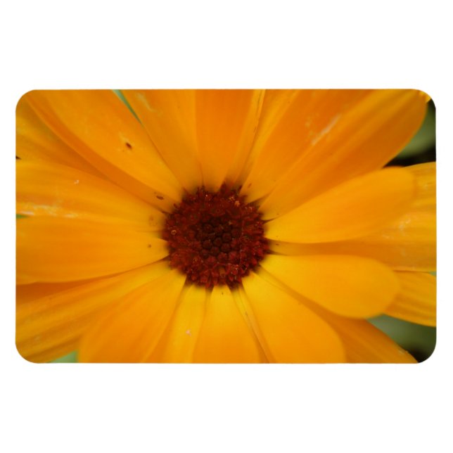 Magnet Flexible Aimant Premium orange de pluie (Horizontal)