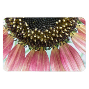 Magnet Flexible Aimant Premium Tournesol rose