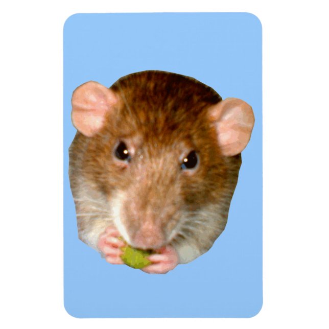 Magnet Flexible Aimant Rat Premium (Vertical)