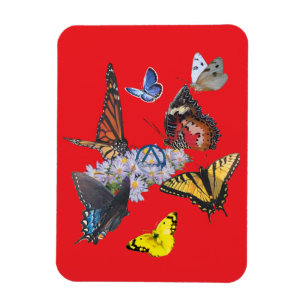 Magnet Flexible aimant rectangle symbole de sobriété papillons