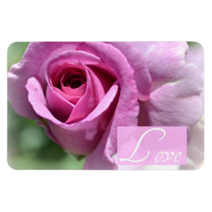 Magnet Flexible Aimant rose d'été