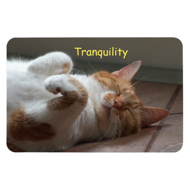 Magnet Flexible Aimant souple couchant mignon (Horizontal)