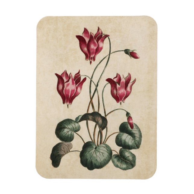 Magnet Flexible Aimant vintage à cyclamen floral (Vertical)