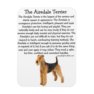 Magnet Flexible Airedale