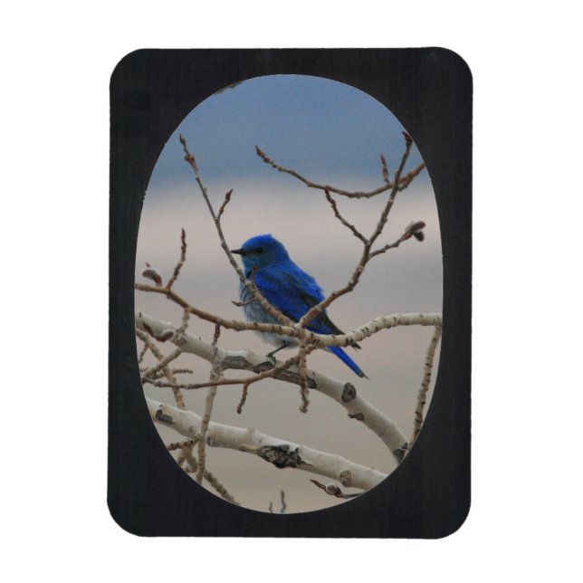 Magnet Flexible Ajouter un cadre ovale photo (noir) (Vertical)