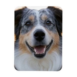 Magnet Flexible Ajouter une Personnaliser photo pour animaux domes