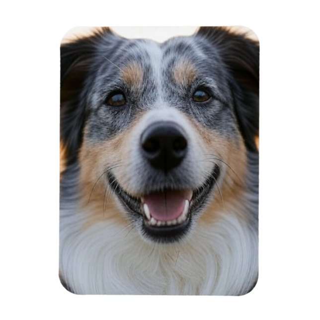 Magnet Flexible Ajouter une photo de l'animal personnaliser (Vertical)