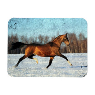 Magnet Flexible Akhal-teke