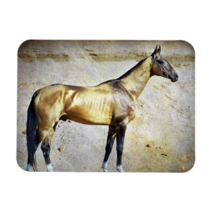 Magnet Flexible Akhal-teke
