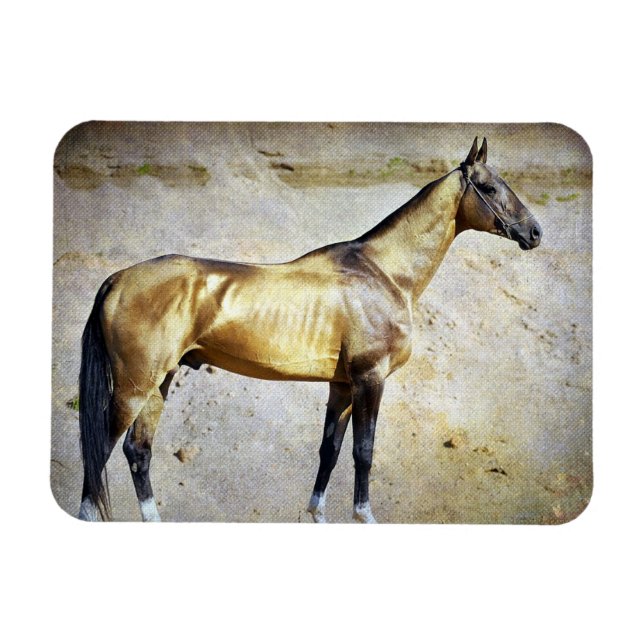 Magnet Flexible Akhal-teke (Horizontal)