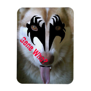 Magnet Flexible Akira Kiss Gene Qui ?