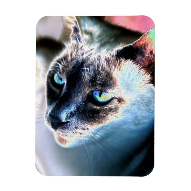 Magnet Flexible Aloof Siamese Chat Alterisé Aimant Flexible (Vertical)
