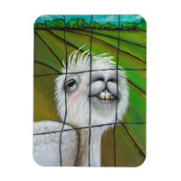 Alpaca - Petit aimant Dreamer