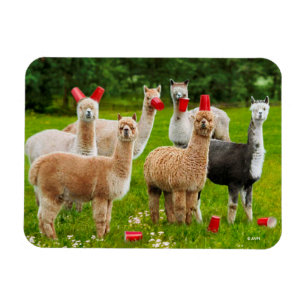 Magnet Flexible Alpacas Avec Coupes Rouges