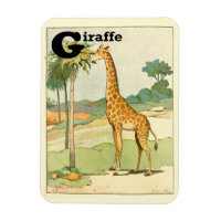 Alphabet Letter G for Giraffe