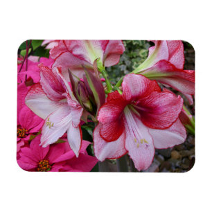 Magnet Flexible Amaryllis et Poinsettia Fleurs de Fêtes Rouges