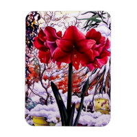 Amaryllis par fenêtre de neige