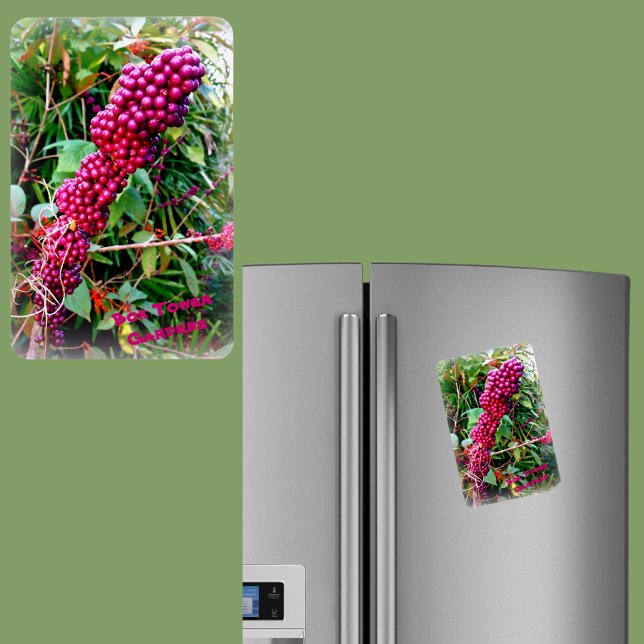 Magnet Flexible American Beautyberry à Bok Tower Gardens Floride (Créateur téléchargé)