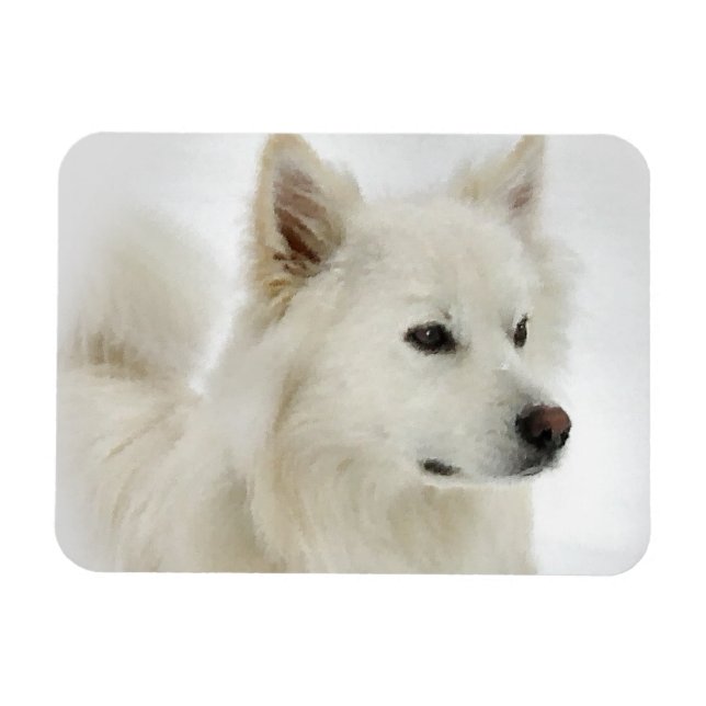 Magnet Flexible American Eskimo Dog Art (Horizontal)