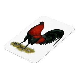 Magnet Flexible American Game BB Black Red Roster