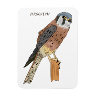 Magnet Flexible American Kestrel bird illustration