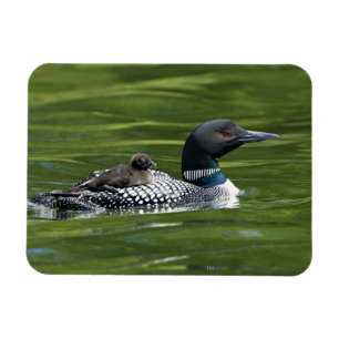 Magnet Flexible Amérique du Nord, Canada, Colombie-Britannique, La