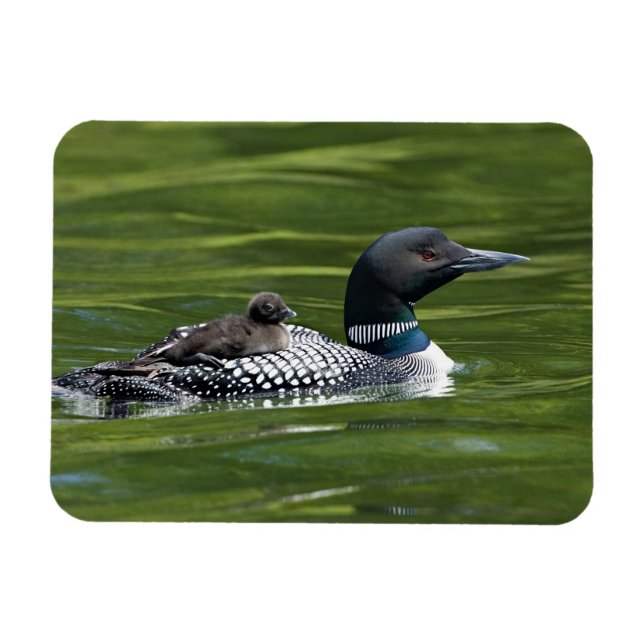 Magnet Flexible Amérique du Nord, Canada, Colombie-Britannique, La (Horizontal)