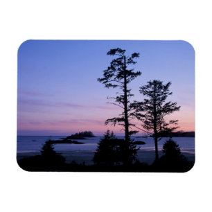 Magnet Flexible Amérique du Nord, Canada, île de Vancouver, arbres