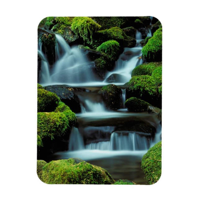 Magnet Flexible Amérique du Nord; États-Unis; Washington, Cascade  (Vertical)