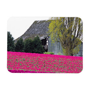 Magnet Flexible Amérique du Nord, États-Unis, Washington, vallée d