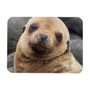 Magnet Flexible Amérique du Sud, Équateur, îles Galapagos