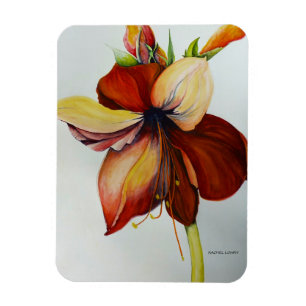 Magnet Flexible Amerylis 2018