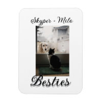 Amis animaux meilleures copines ajoutez nom photo 