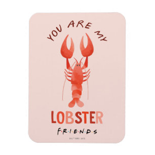 Magnet Flexible AMIS™   Vous êtes mon homard aquarelle graphique