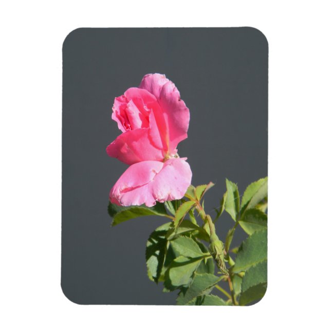 Magnet Flexible Amour d'été... (Vertical)