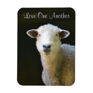Magnet Flexible Amour un un autre mouton