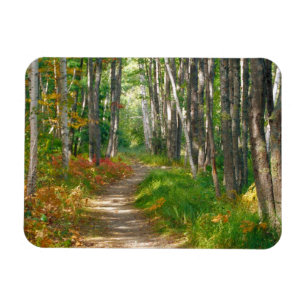Magnet Flexible AN, États-Unis, Maine. Sentier Jessup dans le Par