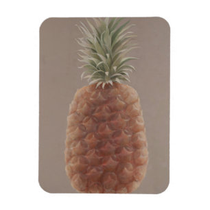 Magnet Flexible Ananas 2012