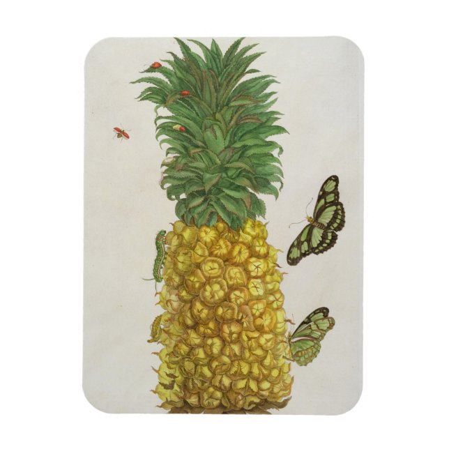 Magnet Flexible Ananas avec chenille et papillons (main-c (Vertical)