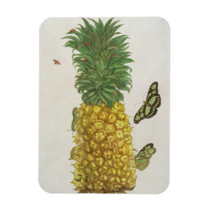 Magnet Flexible Ananas avec la chenille et les papillons (main-c