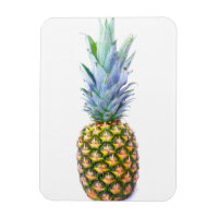 Ananas Fruit Beach Dessert Coloré Tropical