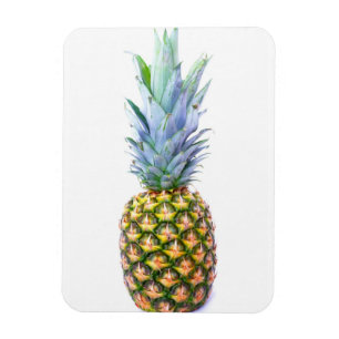 Magnet Flexible Ananas Fruit Beach Dessert Coloré Tropical
