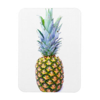 Magnet Flexible Ananas Fruit Beach Dessert Coloré Tropical