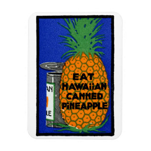 Magnet Flexible Ananas hawaïen vintage