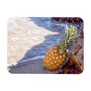 Magnet Flexible Ananas penché sur les rochers à la plage