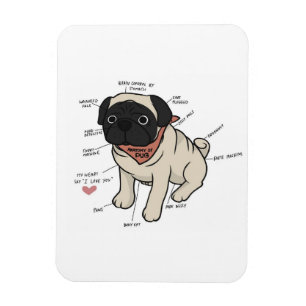 Magnet Flexible Anatomie Du Chien Carlin Graphique