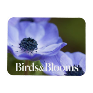 Magnet Flexible Anémone bleue