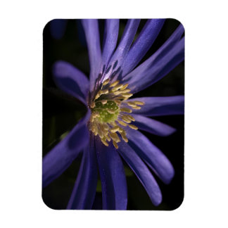 Magnet Flexible Anémone pourpre