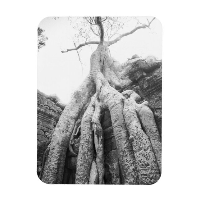 Magnet Flexible Angkor Cambodge, Arbre Ta Prohm (Vertical)